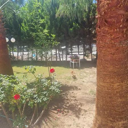 Hotel Delight Boutique 3*